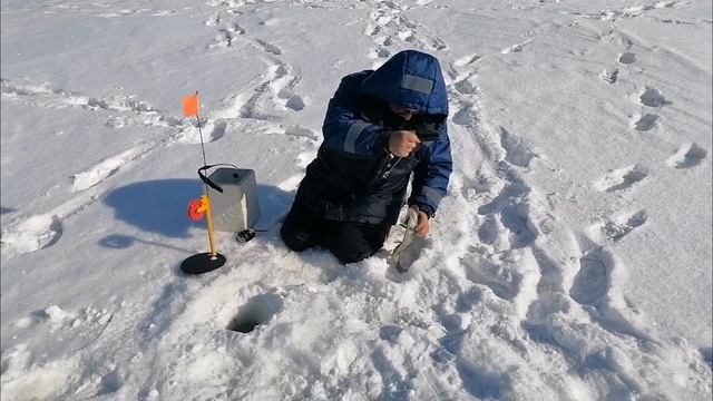 Рыбалка на жерлицы. Сезон 2025.Щука на жерлицы.
