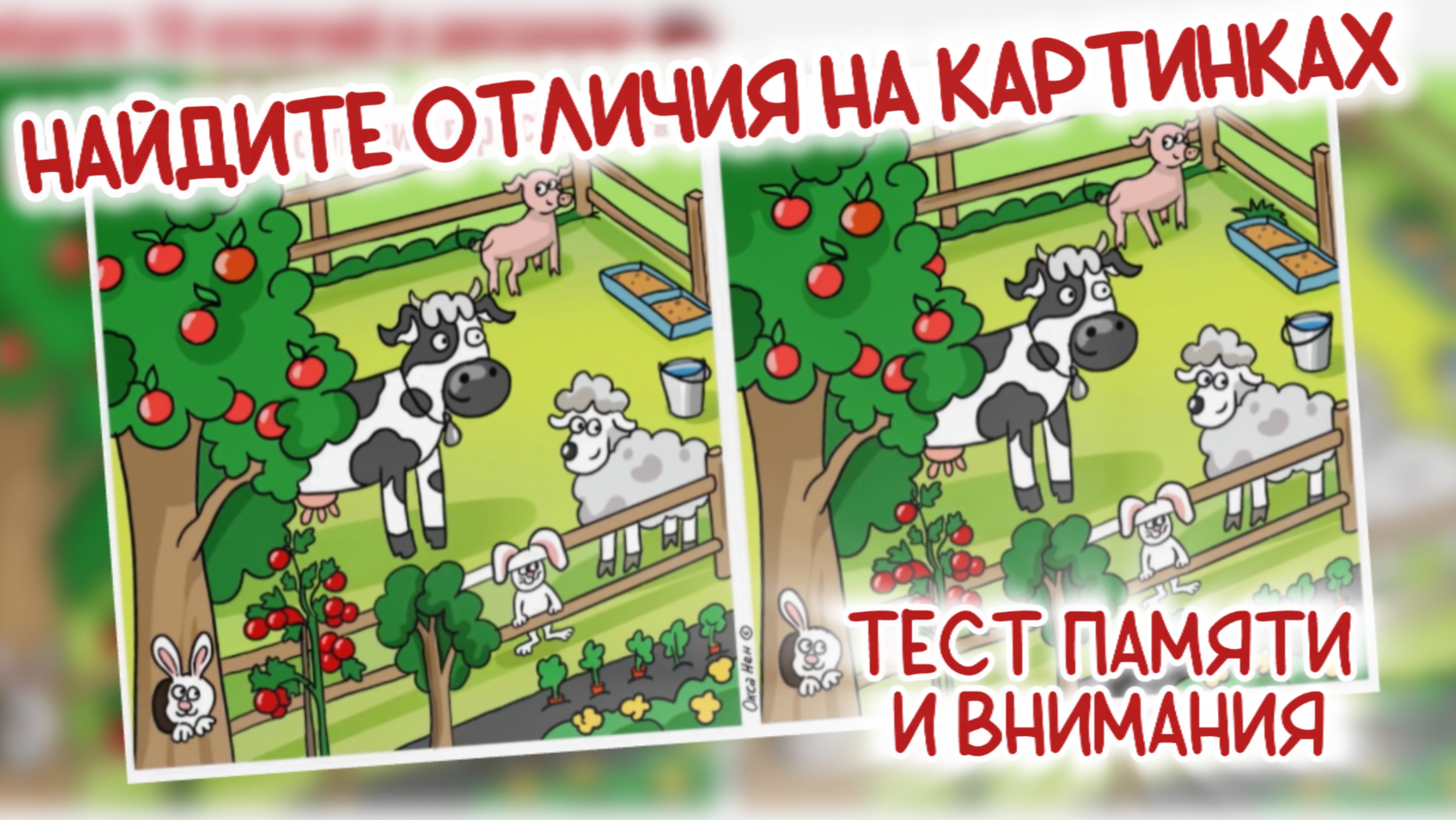 Найдите 10 отличий на картинках про ферму. Тест памяти и внимания