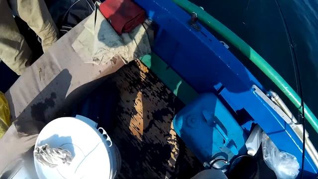 Щука поперла. Ловили за сужением.