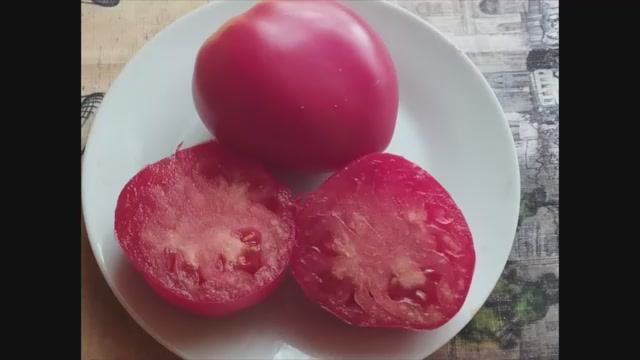 ТОМАТЫ. Крупноплодные сорта томатов.
