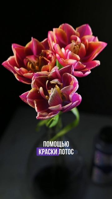 Ох солнышки, это было очень волнительно!