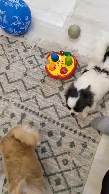 1000035837.mp4
