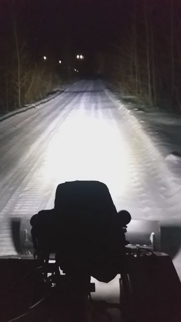 20241231_172950.mp4