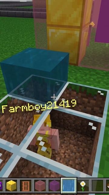 man Minecraft