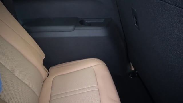 Новинка!Первый Российский гибрид - Evolute i-Space