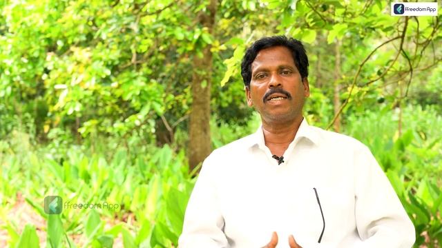 How to Start Avocado Farming? | Avocado Farming in Telugu | Benefits of Avocado Farming