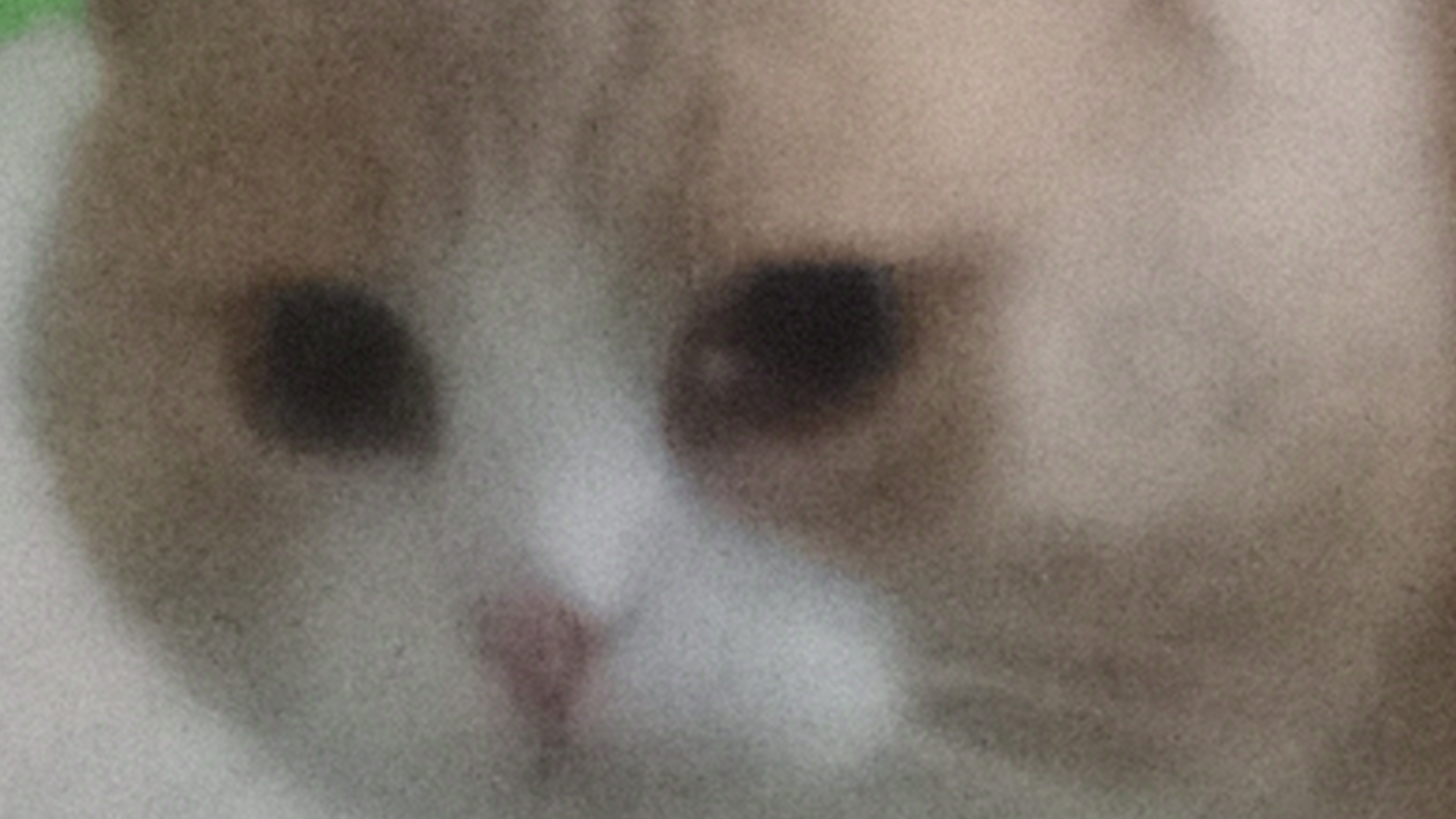 утренний вайб