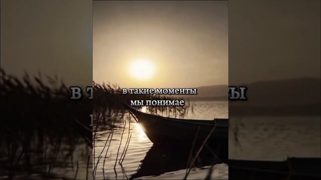 мудрость
