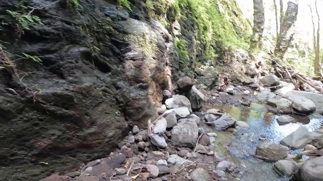 2021-03-23 [Fr] Maui Hawaii Stream Ditch Trail (Hike N2) ++