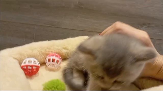 1000002388.mp4