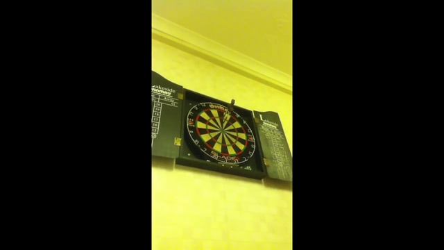 Gary Anderson darts review