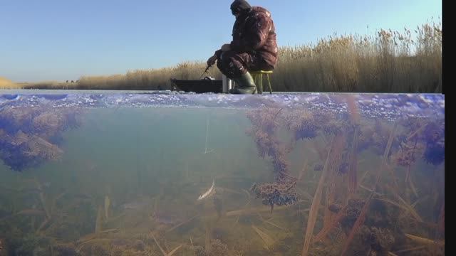 Опустил камеру в лунку, а там РЫБЬЕ ЭЛЬДОРАДО! Подводные съемки.