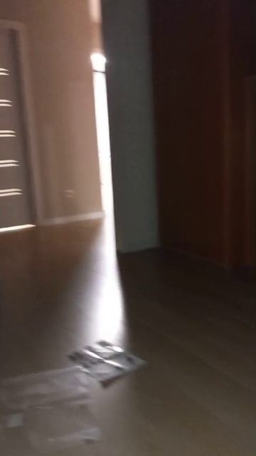 VID-20250309-WA0043.mp4