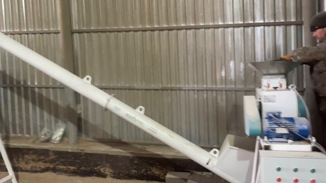 Охота на кабана