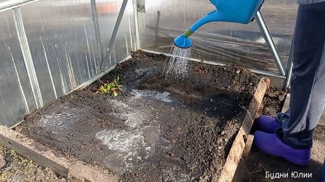 Весна 🌻Пора готовить теплицу к посадкам.
