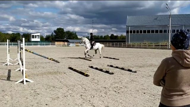 КСК Есаул. Алена и Навигатор