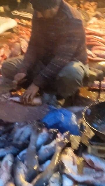 #Lahori Life #Baap Machli Rate Rs 600 Per KG #Bhati Gate Fish Market Lahore #ytshorts