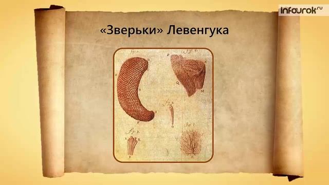 2. Устройство увеличительных приборов
