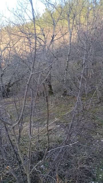 диван на горах Кабардинки 9.03.2025