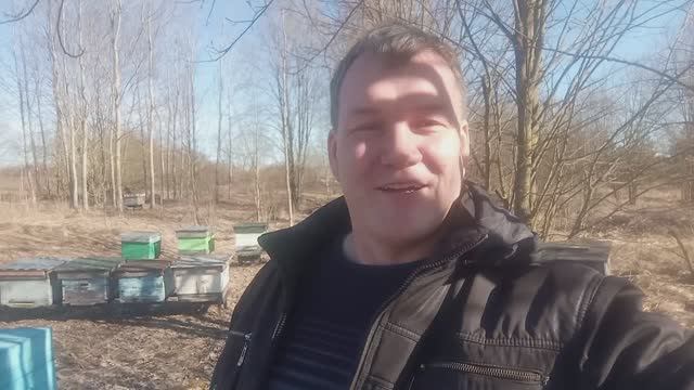 Первый весенний облет 2025| пчелы