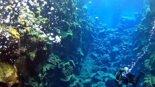 Tectonic Dive Iceland