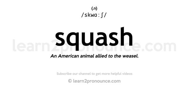 Pronunciation of Squash | Definition of Squash