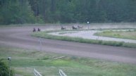 23.08.2015 Видео-онлайн трансляция ипподром Киев Ч.4