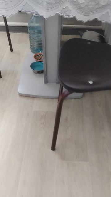 Игрушки.