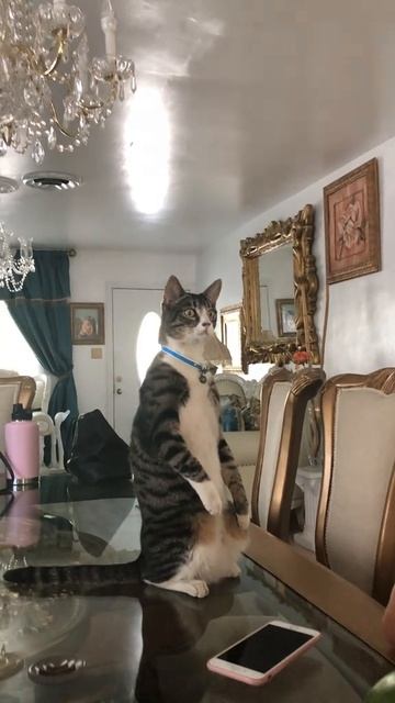 Ему тоже интересно, что там происходит