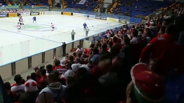 Венгерские болельщики празднуют гол