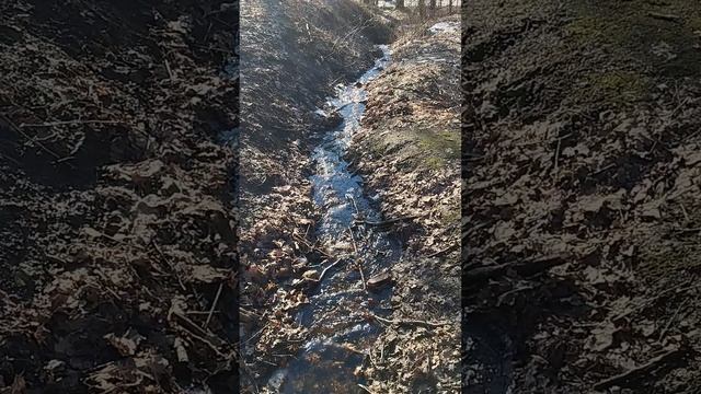 день весенний