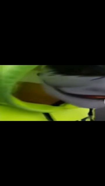 Не подскажите сколько времени???
