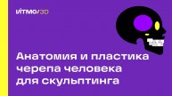 Анатомия и пластика черепа человека для скульптинга