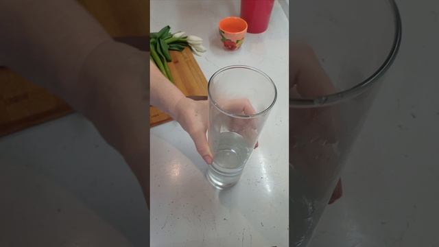 КАК Эффективно ОЖИВИТЬ Тюльпаны!!!!
