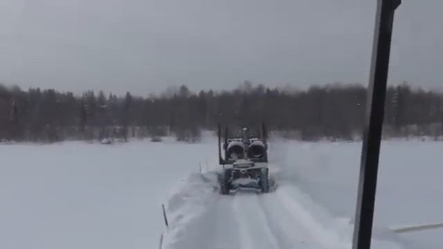 Лесные дороги. Сергей Чекалин. Forest roads. Sergey Chekalin.