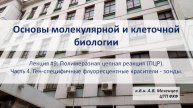 Основы молекулярной и клеточной биологии (2024) Лекция 9 ПЦР Ч 4 Ген-специфичные красители (зонды)