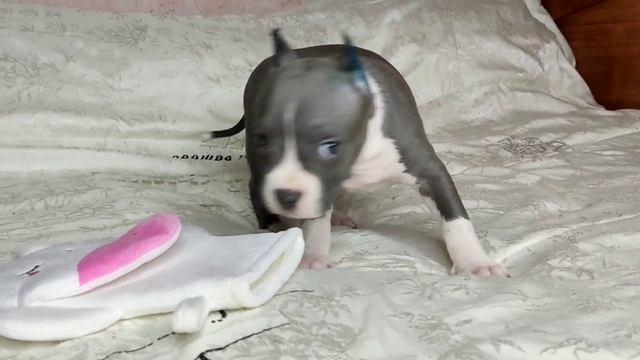1000363483.mp4