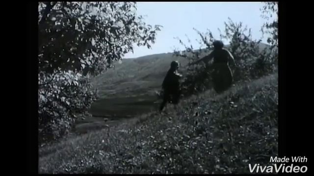 Qaraca qız filmindən musiqi parçası.(1968)