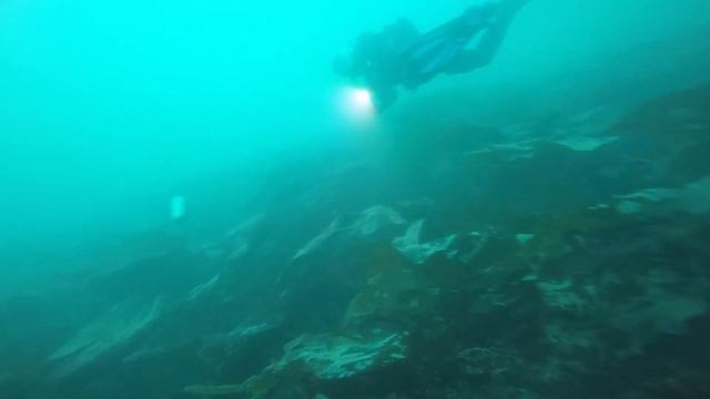 Scallop Bay Rathlin Island Drift Dive with Aquaholics 9th Sept 2017 HD