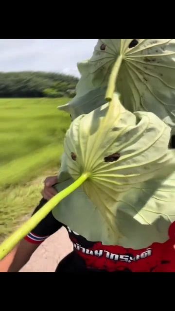 Когда с другом на одной волне