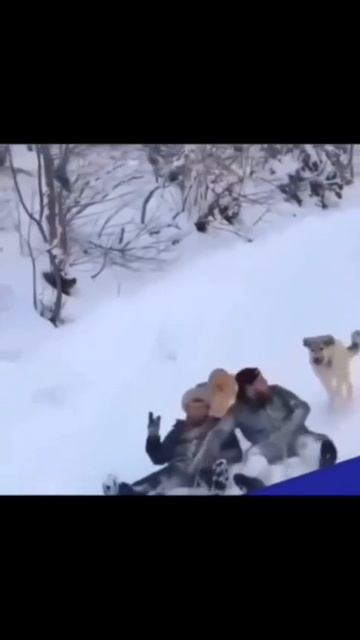 ПОГОНЯ