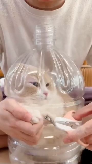 Спа процедуры 💅
