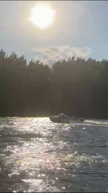 VID-20240803-WA0033.mp4
