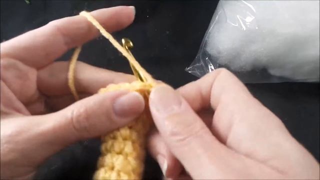 How To Crochet Squash
