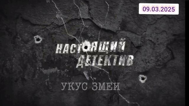 Настоящий детектив Укус змеи 09.03.2025 смотреть онлайн телеканал ТВЦ Оперативники из Санкт-Петербур