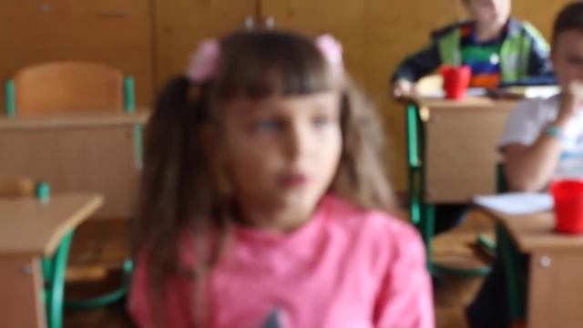 Тернопіль: 29 школа 2-В клас про вчителів