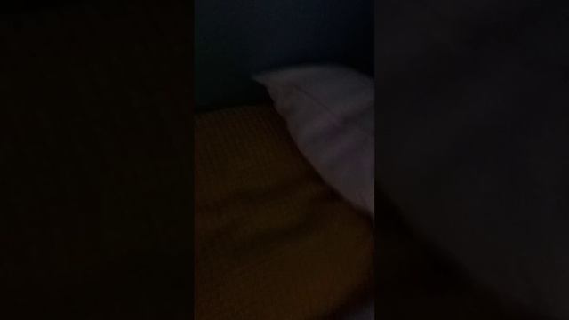 Обзор  палатки