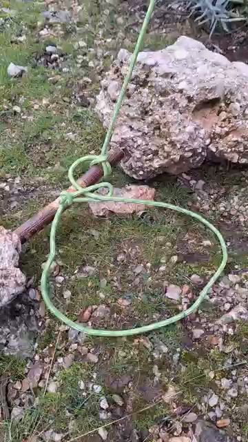 Ловушка