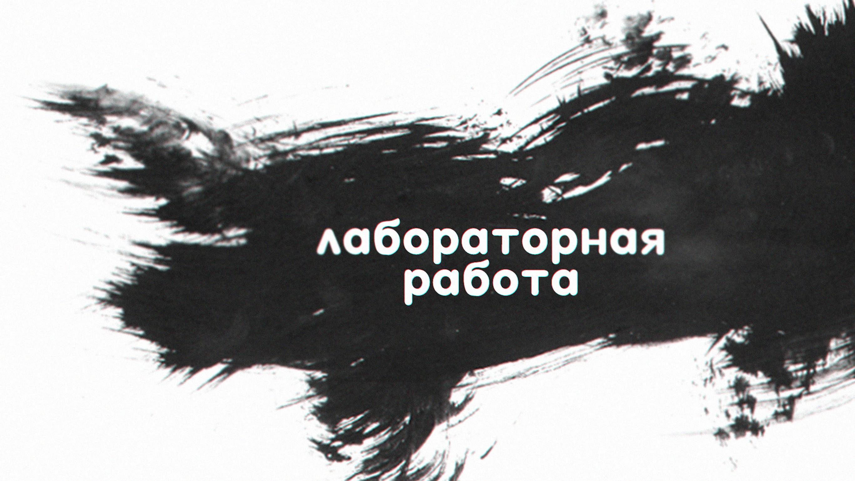 Защита лабораторной работы