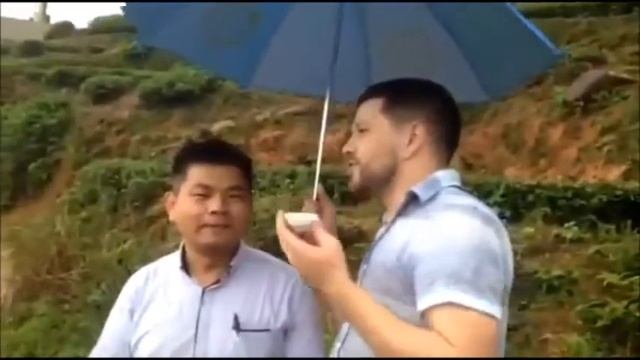 Здесь растет лучший Тегуаньиинь!